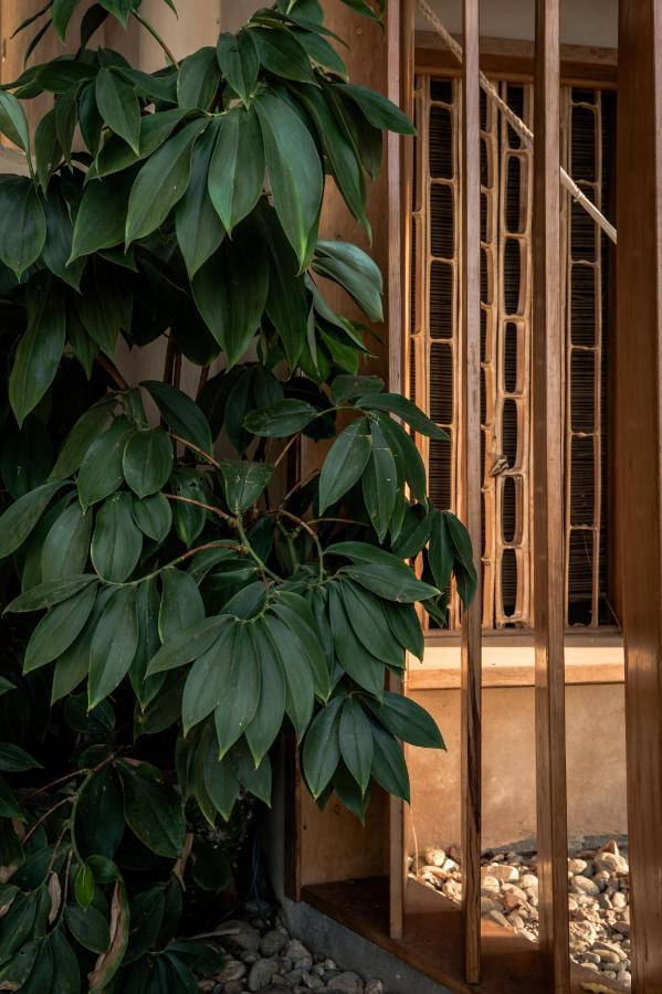 Nani Bed & Breakfast San Agustinillo Exterior photo
